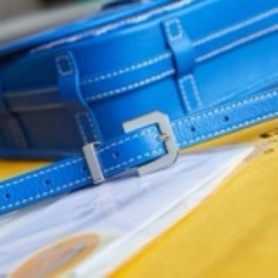 wholesale quality goyard belvedere messenger bag model no. 8